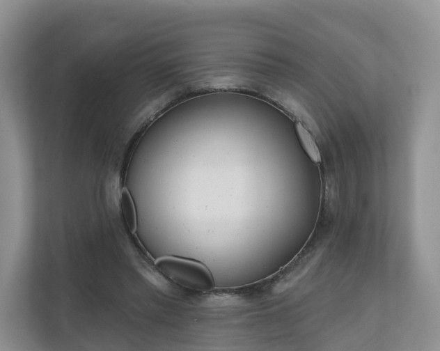 X0000110900397200906251342