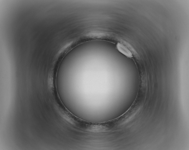 X0000110900399200906251342