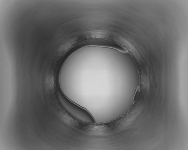 X0000110900401200906251341