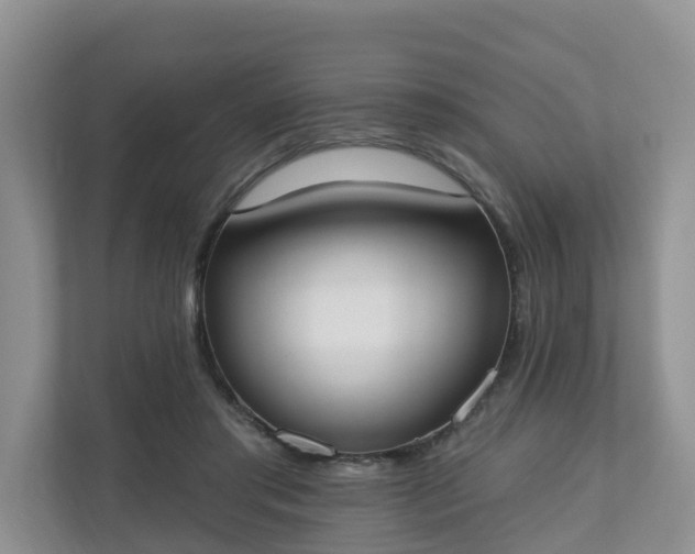 X0000110900405200906251341