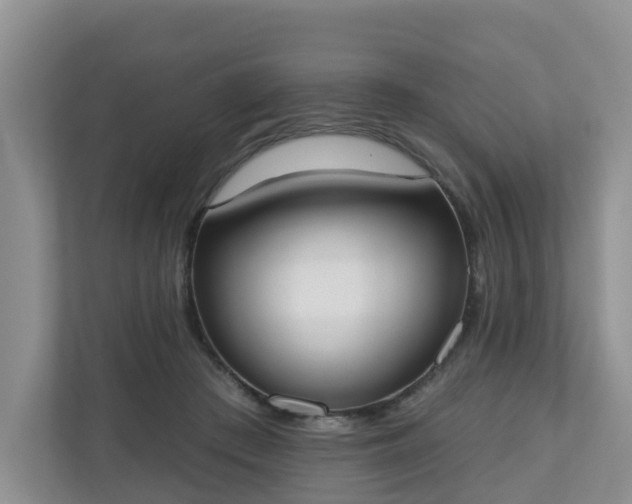 X0000110900409200906251341