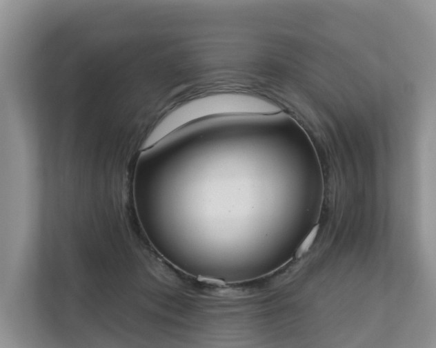 X0000110900413200906251341