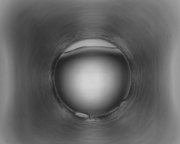 X0000110900415200906251341