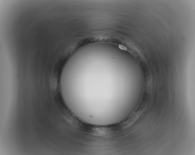 X0000110900417200906251341