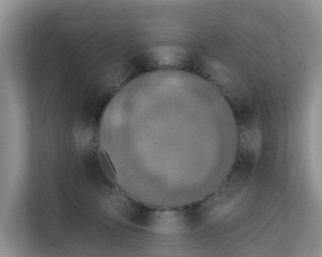 X0000110900419200906251341