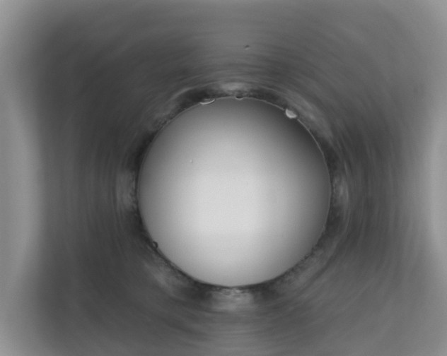 X0000110900421200906251341