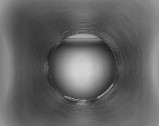 X0000110900425200906251341