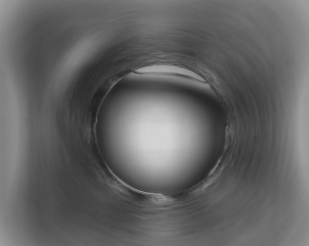 X0000110900429200906251341