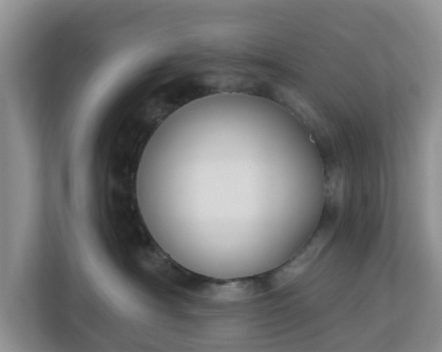 X0000110900430200906251341
