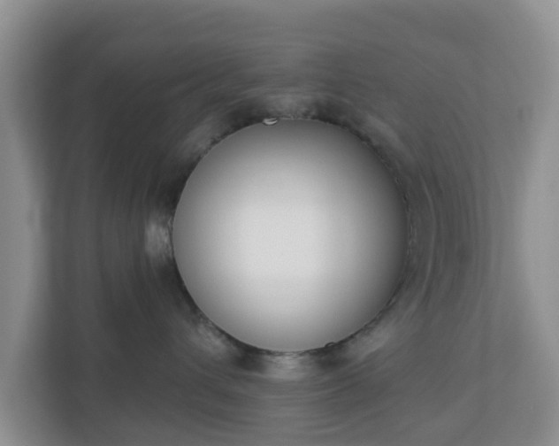 X0000110900432200906251341