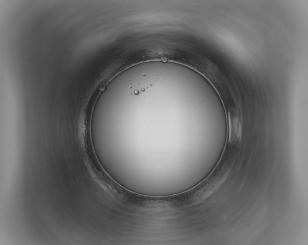 X0000110900435200906251340