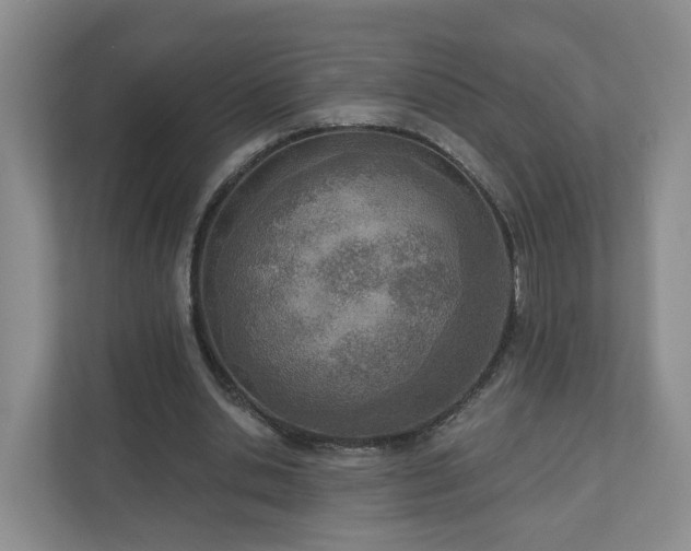 X0000110900438200906251341