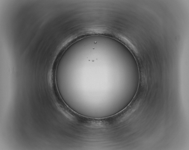 X0000110900439200906251341