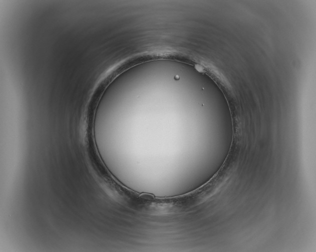X0000110900440200906251341
