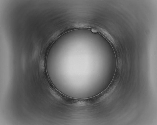 X0000110900441200906251341
