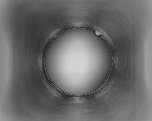 X0000110900442200906251341