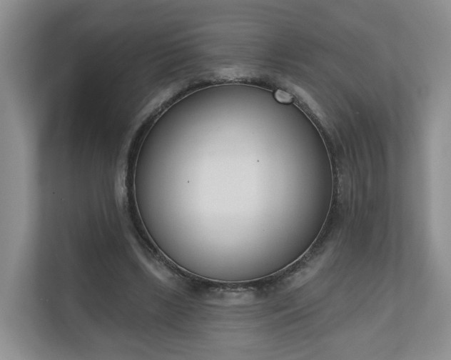 X0000110900443200906251341
