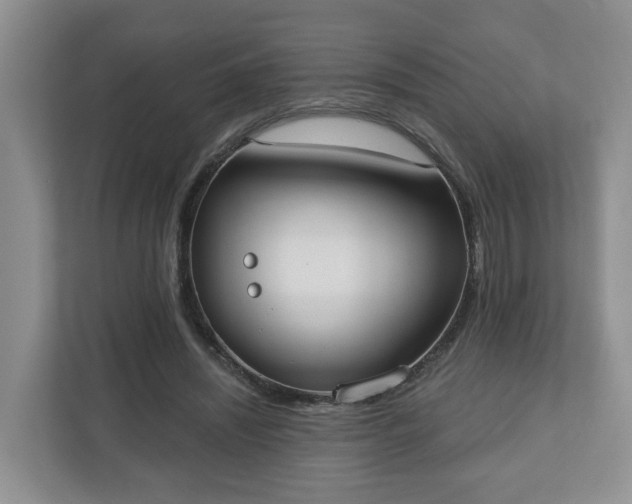 X0000110900444200906251341