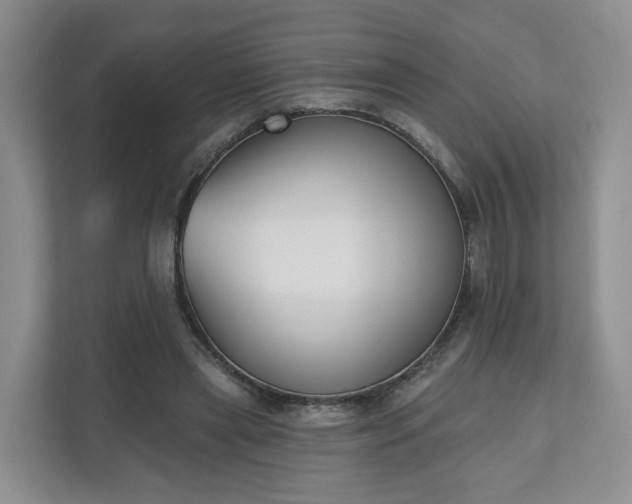 X0000110900445200906251341