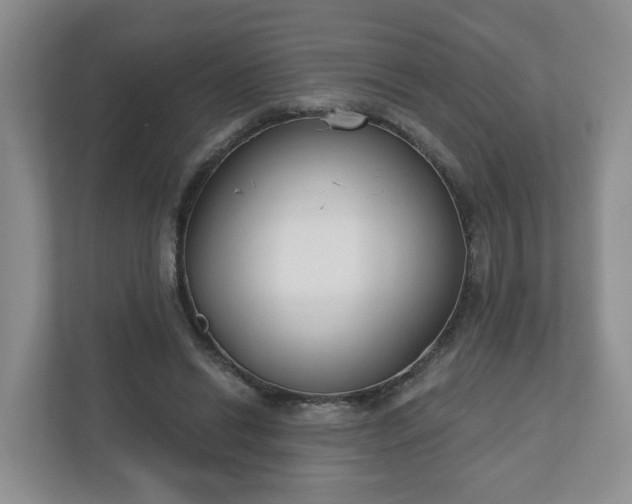 X0000110900446200906251341