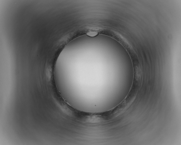 X0000110900451200906251341