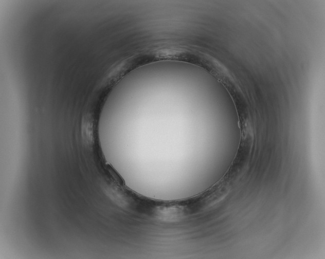 X0000110900452200906251341