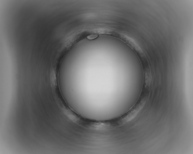 X0000110900453200906251341