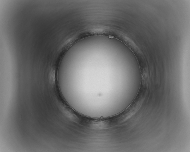 X0000110900454200906251341