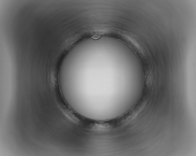 X0000110900455200906251341