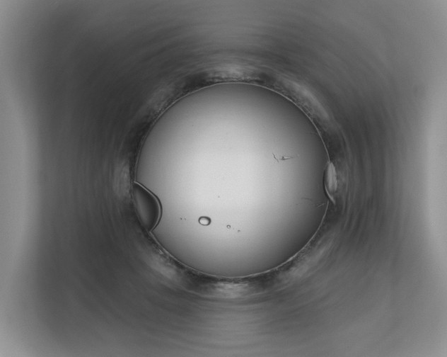 X0000110900457200906251341
