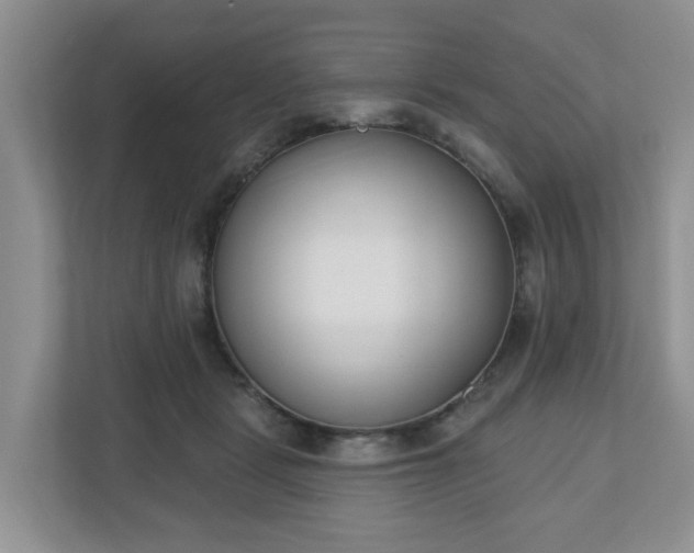 X0000110900461200906251341