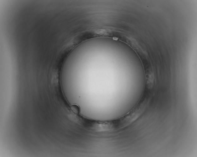 X0000110900466200906251341