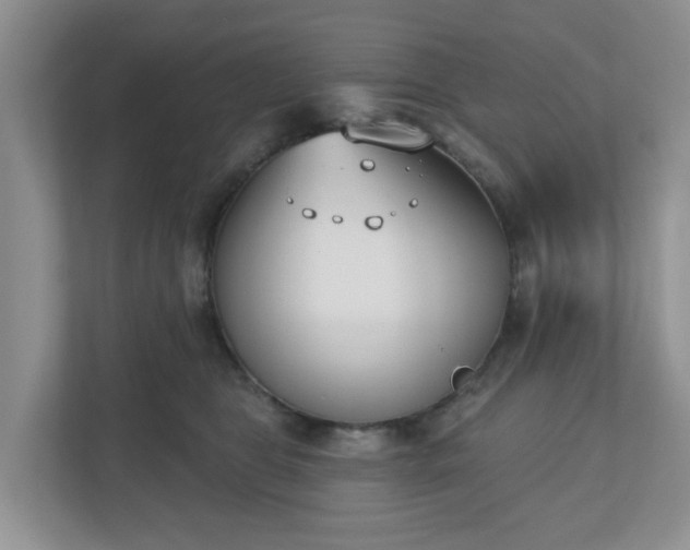X0000110900469200906251341