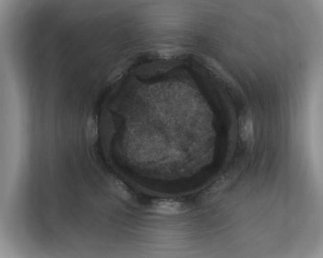 X0000110900471200906251341