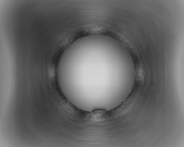 X0000110900472200906251341