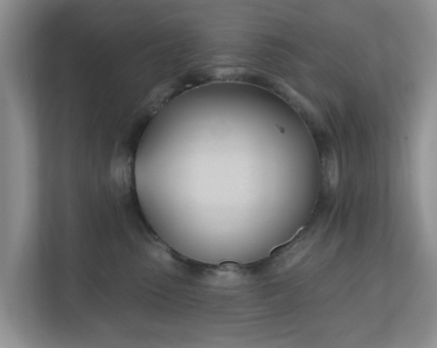 X0000110900475200906251341