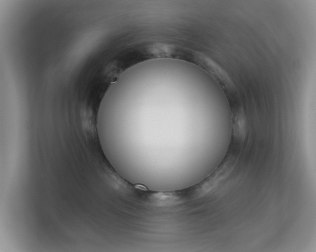 X0000110900477200906251341