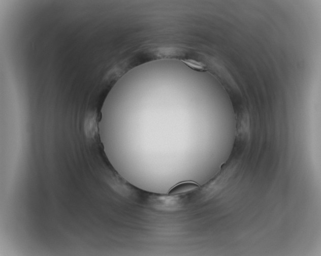 X0000110900478200906251341