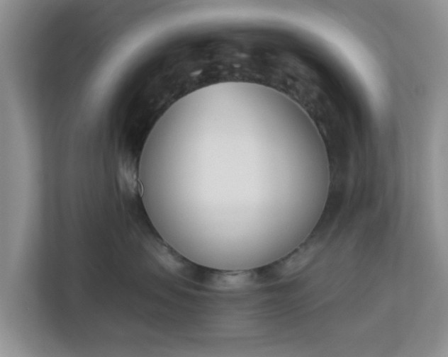 X0000110900479200906251341