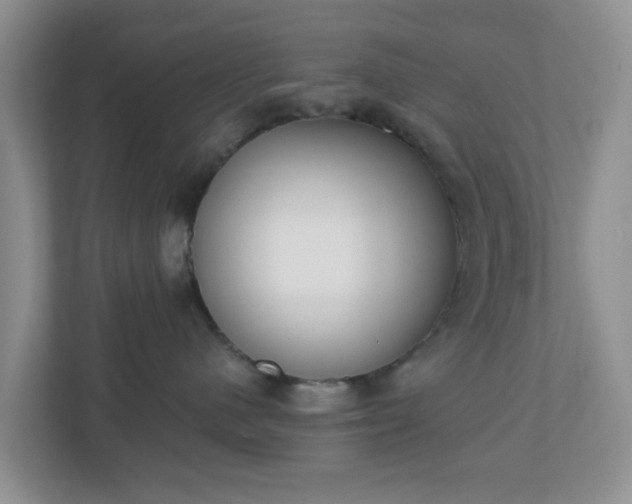 X0000110900480200906251341