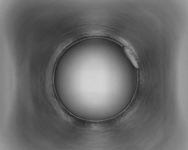 X0000110900481200906251340