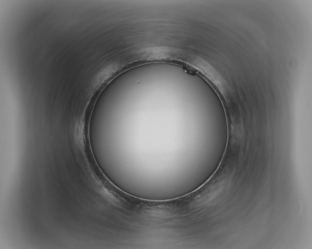 X0000110900485200906251340