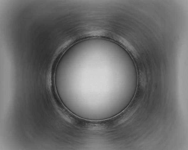 X0000110900486200906251340