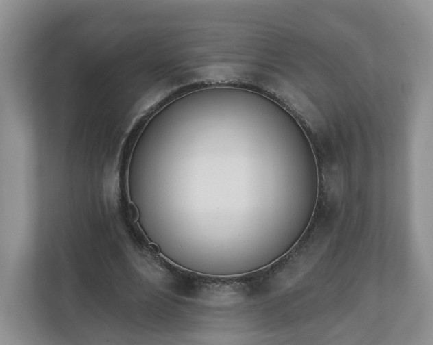 X0000110900488200906251340
