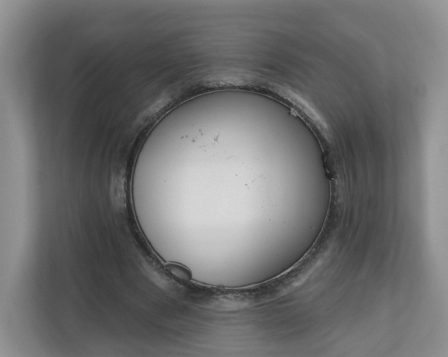 X0000110900489200906251340
