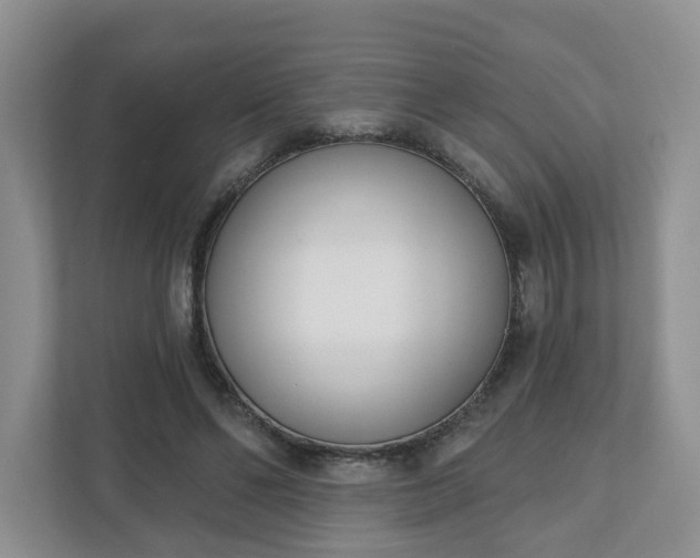 X0000110900494200906251340