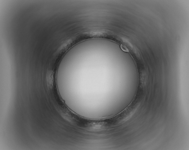X0000110900495200906251340