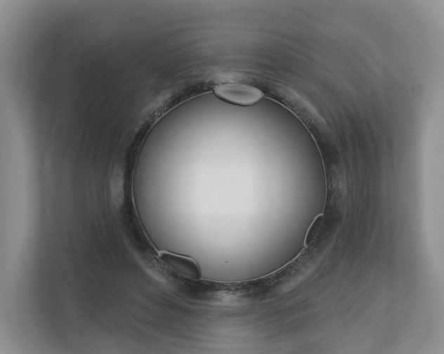 X0000110900496200906251340
