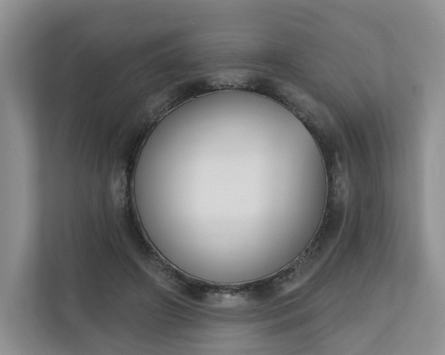 X0000110900498200906251340