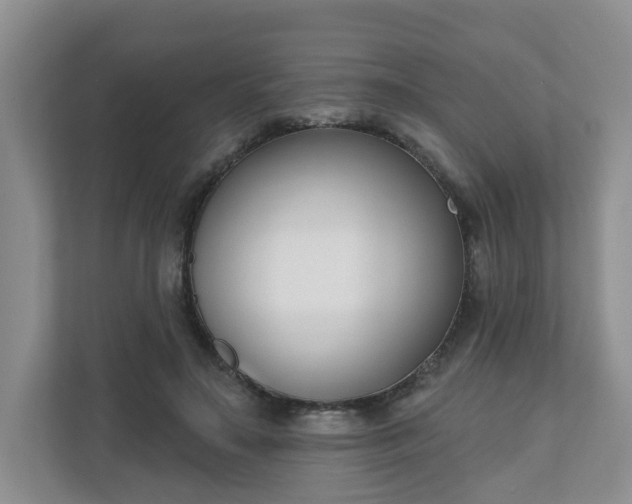 X0000110900499200906251340
